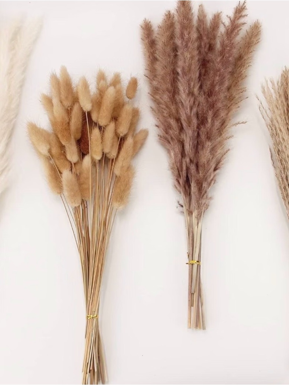 Natural Dried Pampas & Bunny Tail Grass Bundle - Beige